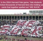 Yale Has Funnier People