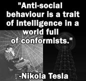 Next Time Someone Calls You Anti-Social, Quote Tesla