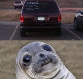 Seal Is Confused