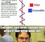 Things You Have To Know If A Crocodile Attacks You