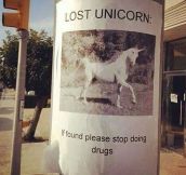 Lost Unicorn, Have You Seen It?