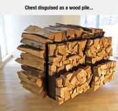 Clever Chest