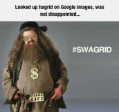 Hagrid Looks Good