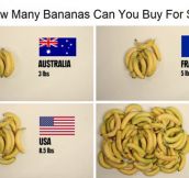 The Price Of Bananas In Different Countries
