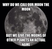 We Should Make A Name For Our Moon