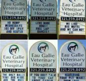 Clever Vet Marquee