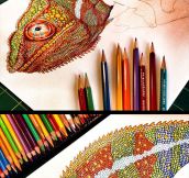 The Most Detailed Drawing Of A Chameleon