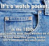 The Little Pocket Explained