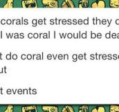 The Life Of Corals Suck