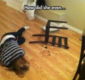 My Cousin, Ashamed After Building A Chair From IKEA