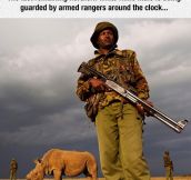 Fighting Heavily Armed Poachers Is Not An Easy Task