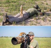 Baby Meerkats Playing With Photographer In Botswana