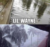 How Do You Like The Wayne?