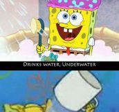I Just Don’t Understand Spongebob