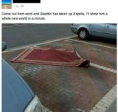Aladdin Parks Like A Jerk
