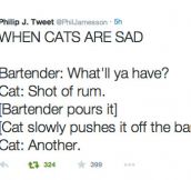 So, A Cat Walks Into A Bar