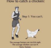 Here’s How To Catch A Chicken