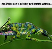 The Art Of Body Painting