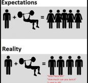 Gym Expectations Vs. Reality