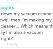 Cleaning The Vacuum Cleaner