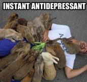 The Best Instant Antidepressant