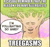 The Reason We Have Allergies