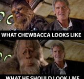 Looks Like Chewbacca Had Some Work Done On Himself