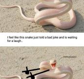Bad Joke Snake