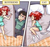 Boyfriend Vs. Cat
