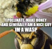 Save The Honey Bee