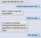 If Cats Could Text Their Owners