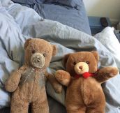 Two Teddy Bears, Many Years Later