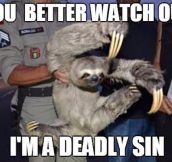 Beware Of Sloths