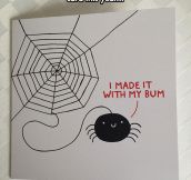 What Spider Webs Are Made Of