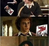 Have You Seen This, Harry?