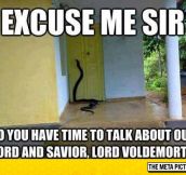 Harry Potter Missionaries