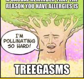 Why You Have Allergies