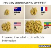 The All New Banana Scale
