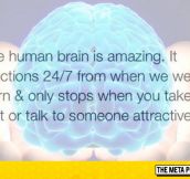 The Human Brain Is Amazing