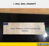 Some Fortune Cookies