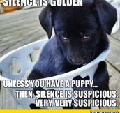 Silence Is Golden, Unless…