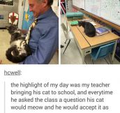 This Teacher Is Purrfect