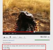 Old Youtube Comments Were The Best