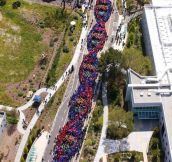2600 People Form A Chain To Celebrate The Anniversary Of DNA