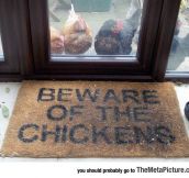 Just Don’t Trust The Chickens