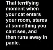 Terrifying Moment