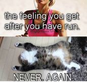 That Feeling After You Go For A Run