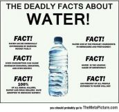 Facts About Water Everyone Should Know