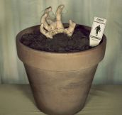 Grow Your Very Own Zombie