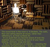 The Quietest Room In The World